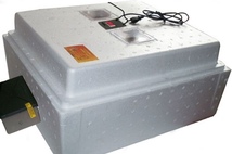Инкубатор Несушка на 63 яйца N42 аналог.терморегулятор